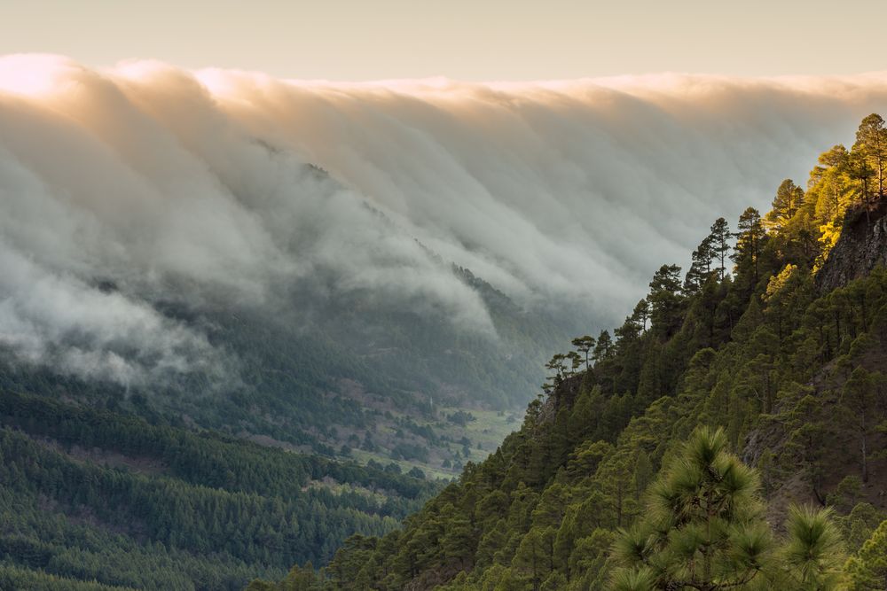 La Palma_Wolkenwasserfall