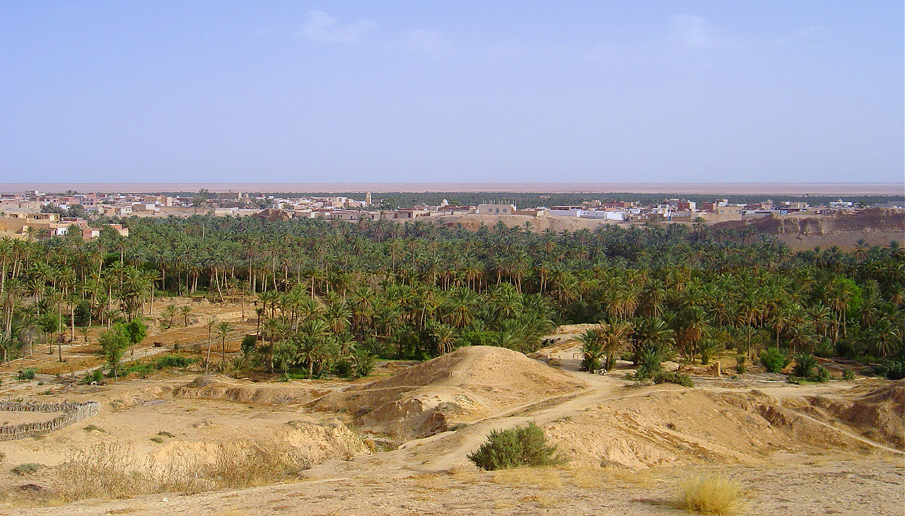 La palmeraie et la ville de Nefta