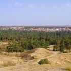 La palmeraie et la ville de Nefta