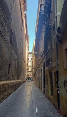 La Paloma auf Irrwegen