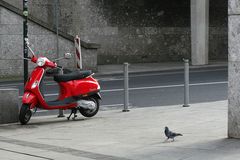 la paloma e la vespa