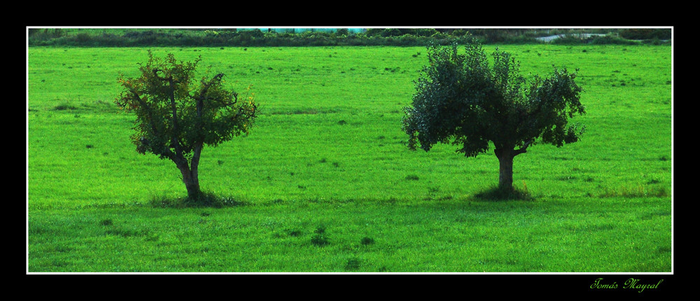 La Pareja