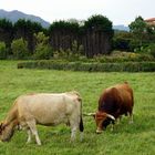 La pareja La Isla Asturias