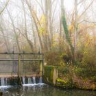 La passerelle 