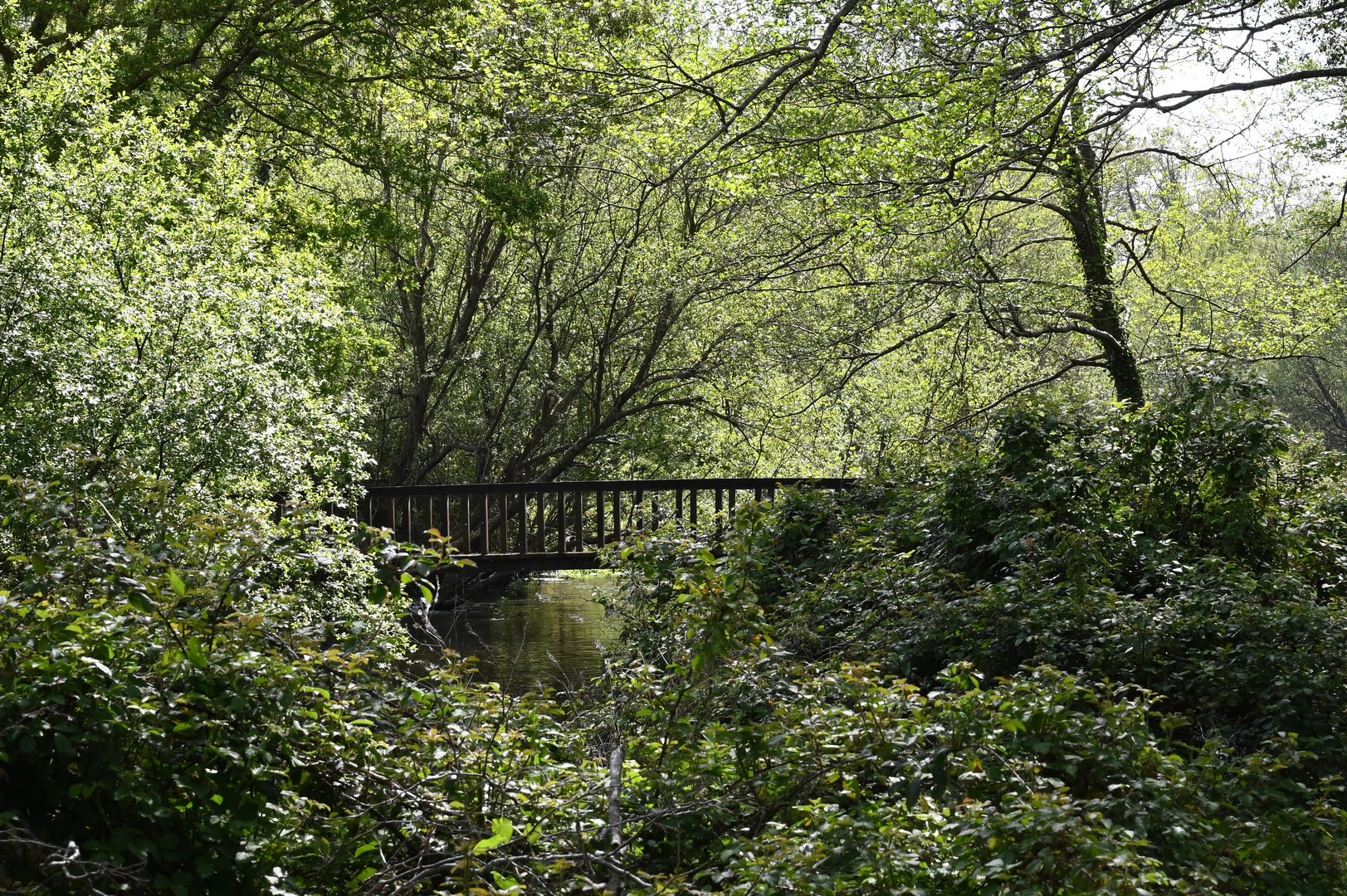 La passerelle