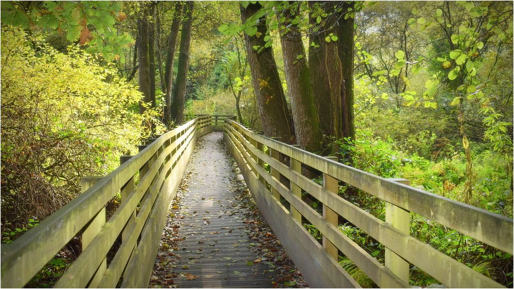 la passerelle