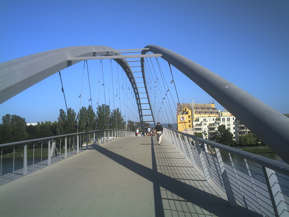 la passerelle de la france vers l allemagne et vise versa