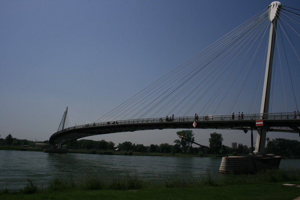 La passerelle du jardin des 2 rives de Matmax67 