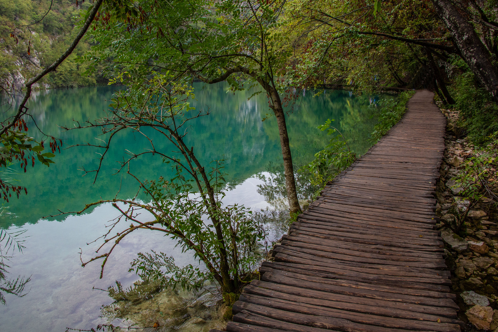 La passerelle en bois, lacs de Plitvice.