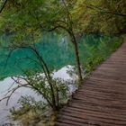 La passerelle en bois, lacs de Plitvice.
