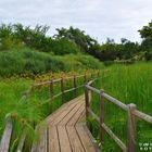 La passerelle vers le vert