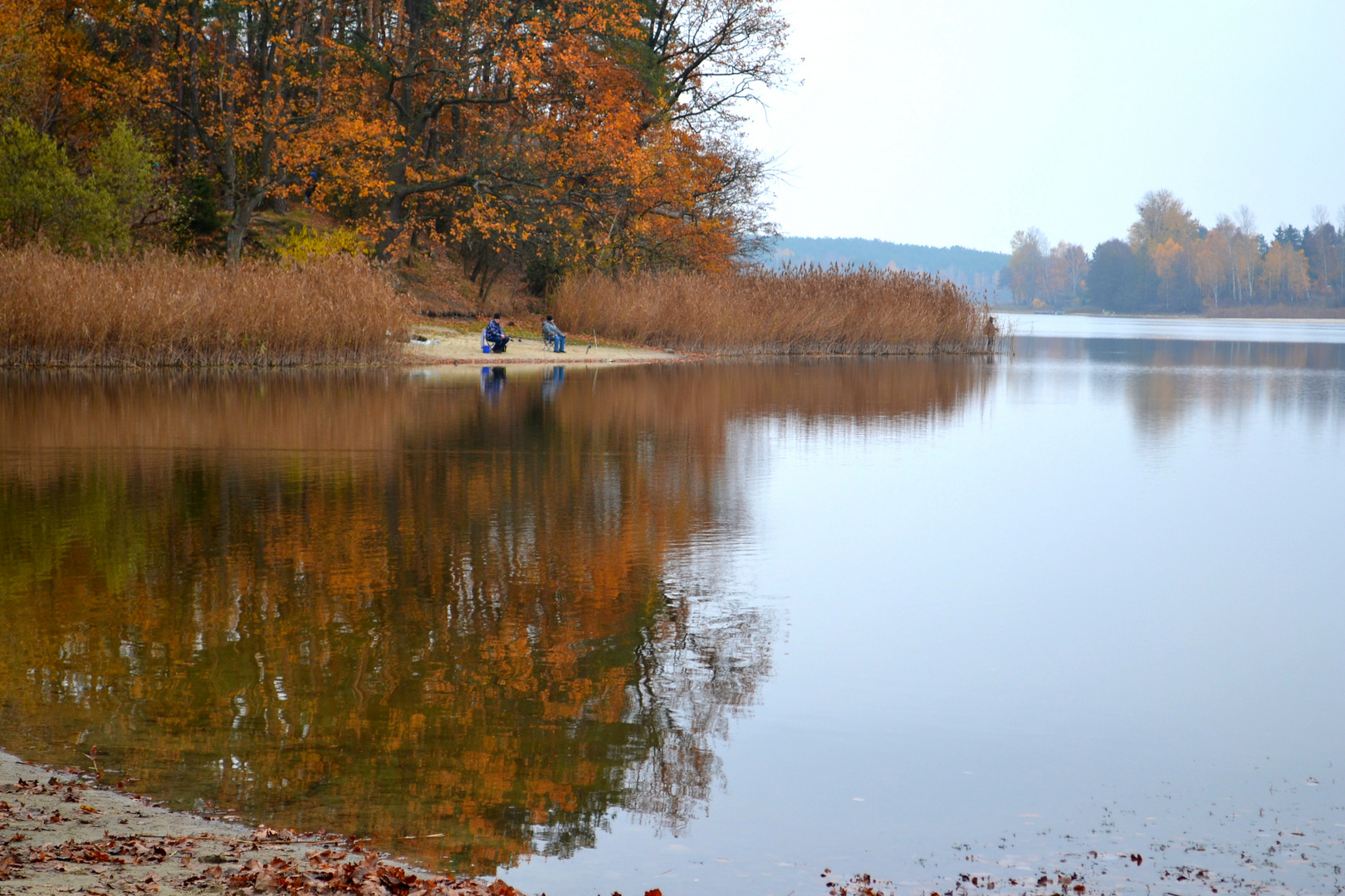 La passione per la pesca