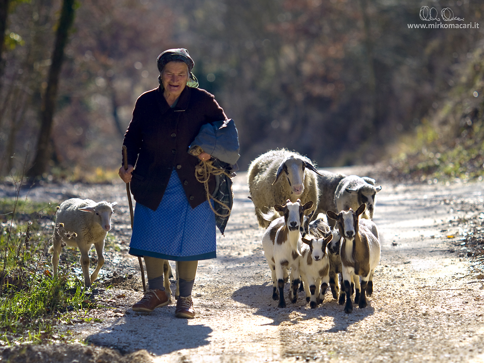 La pastora di Fossa Maiura