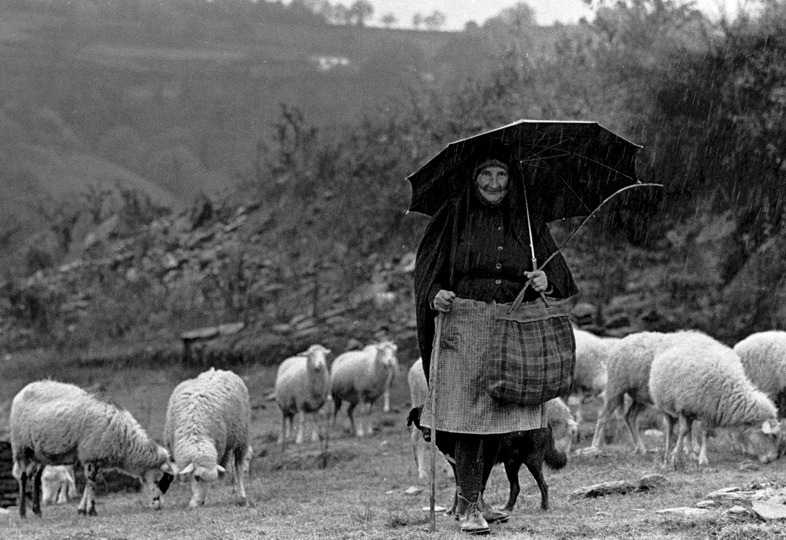 LA PASTORA Y LA LLUVIA