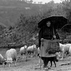 LA PASTORA Y LA LLUVIA