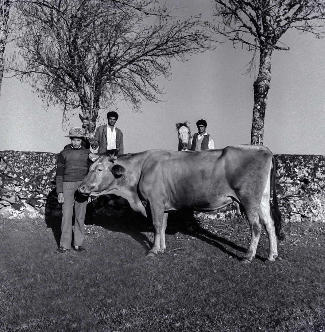 LA PASTORA Y LOS GITANOS (década de los 60)