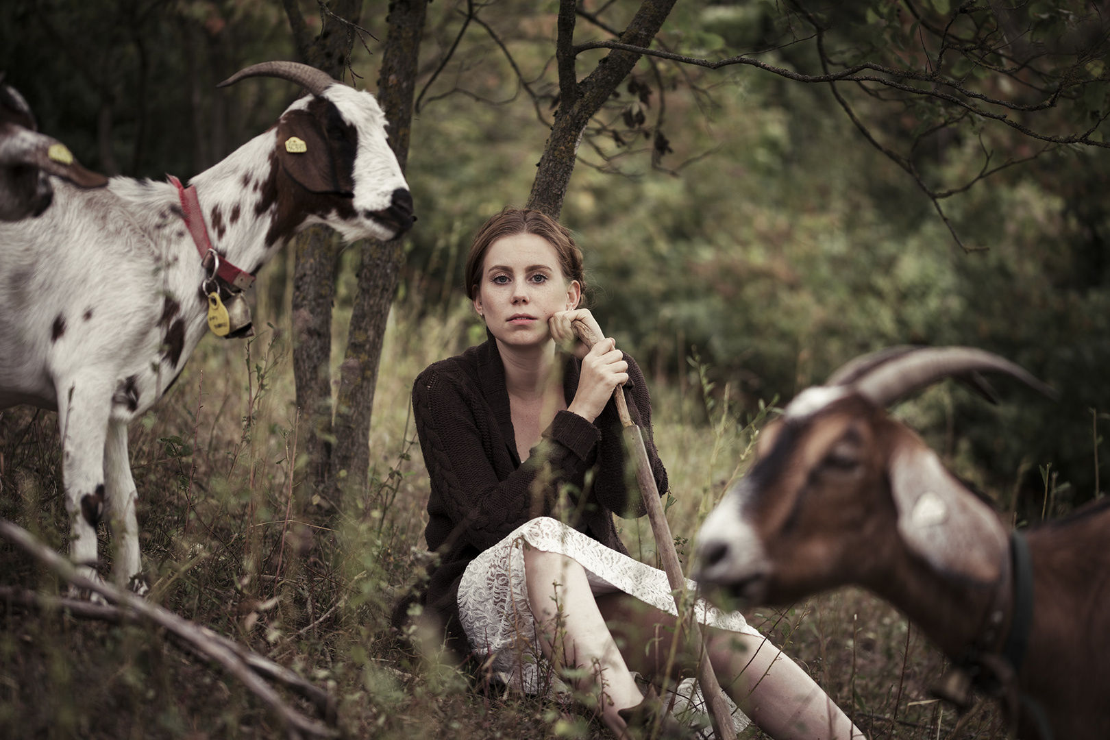 la pastorella Foto & Bild tiere, portrait, tier und mensch Bilder auf