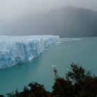 La Patagonia 2006