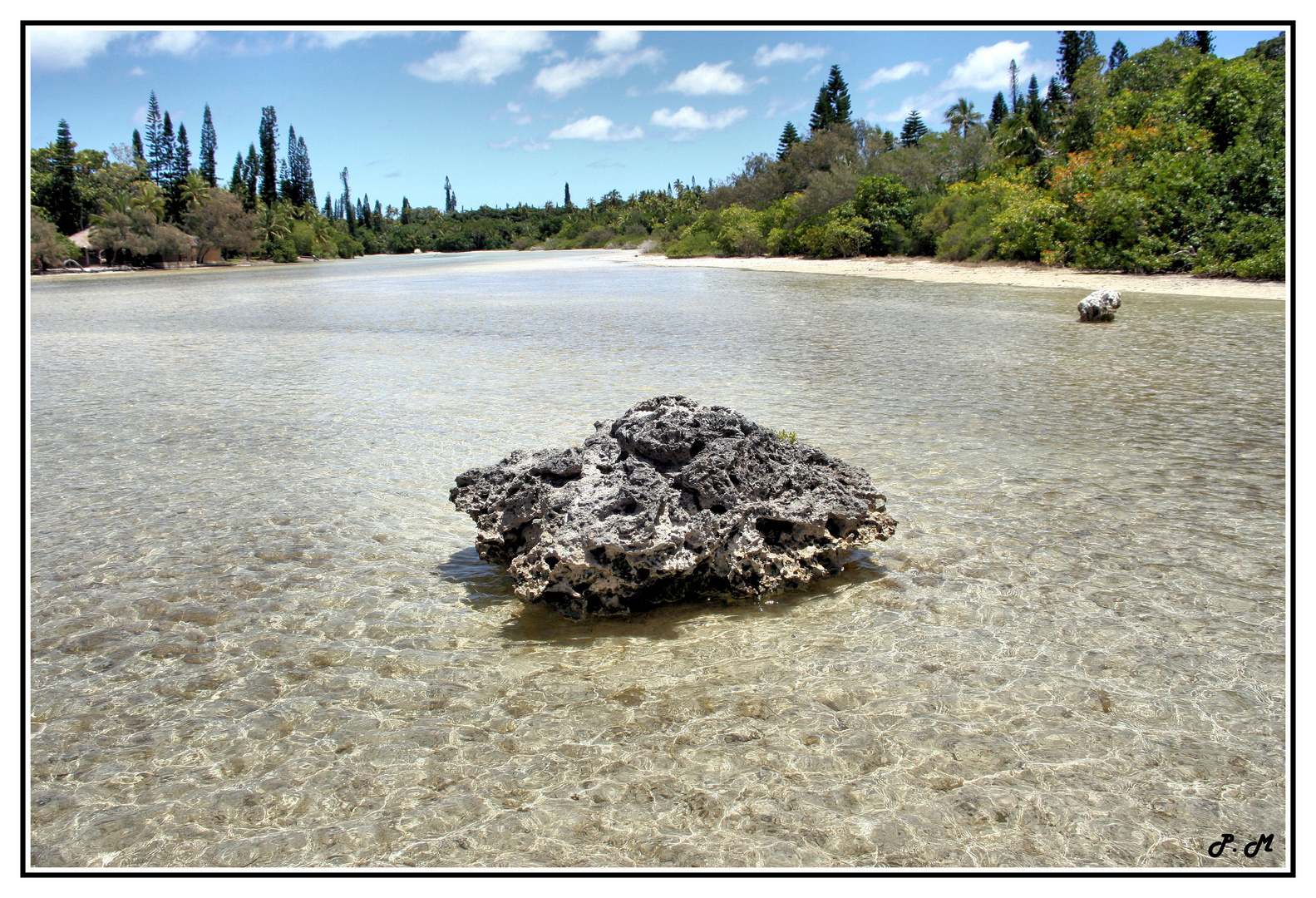 la patate de corail