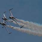 La patrouille des canards aux fêtes de Genève.