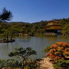 La Pavillon d'Or, près de Kyoto