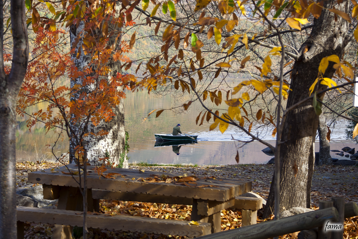 La paz del otoño