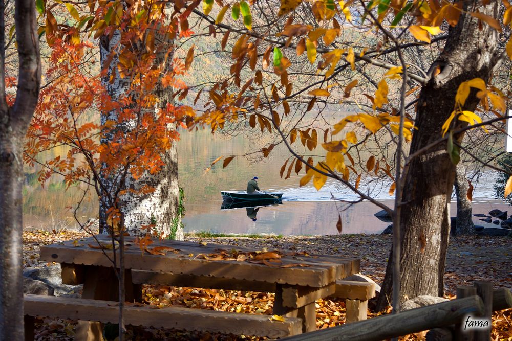 La paz del otoño