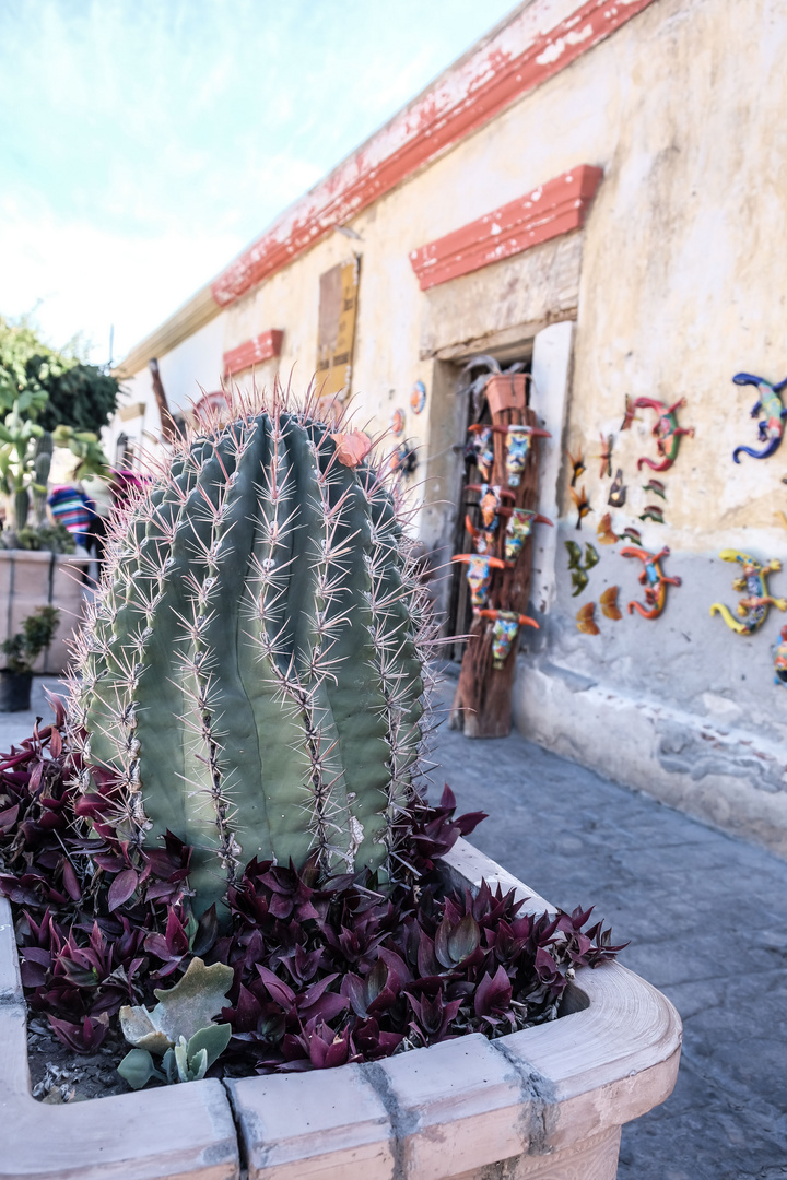 La Paz, Mexico