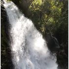 La Paz Waterfall Gardens