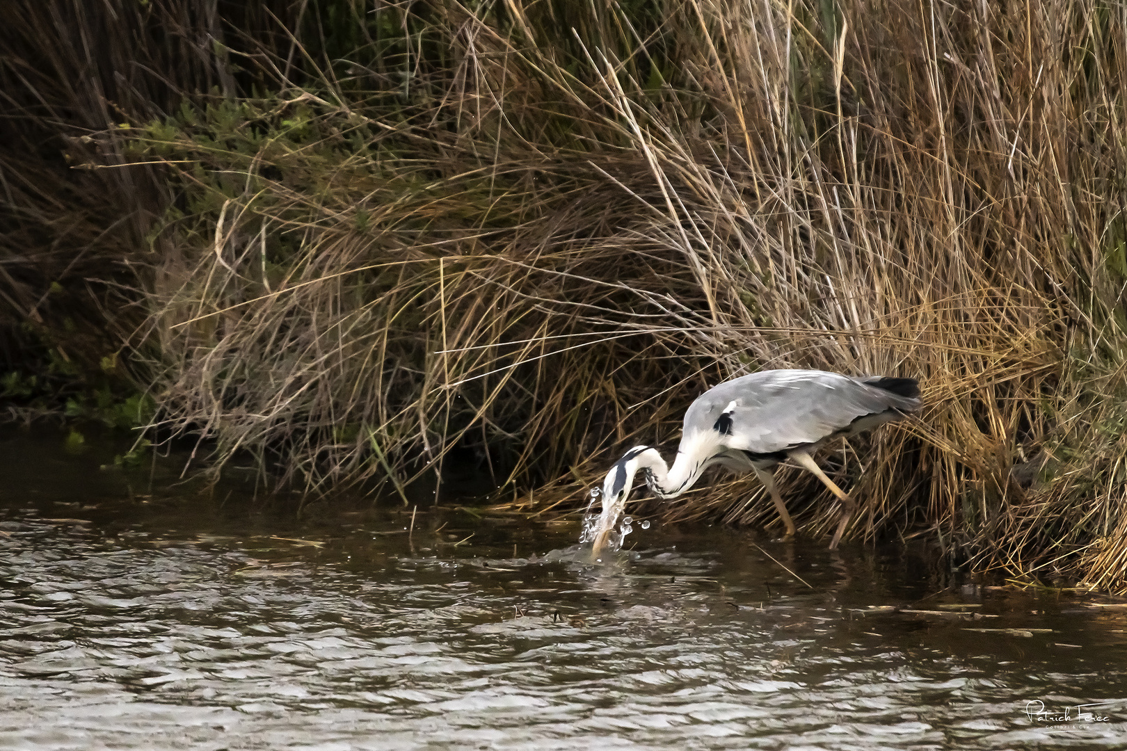 La pêche !