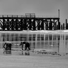 La "pêche à pied"