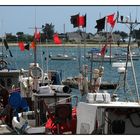 " La pêche artisanale des caseyeurs en baie de Concarneau "