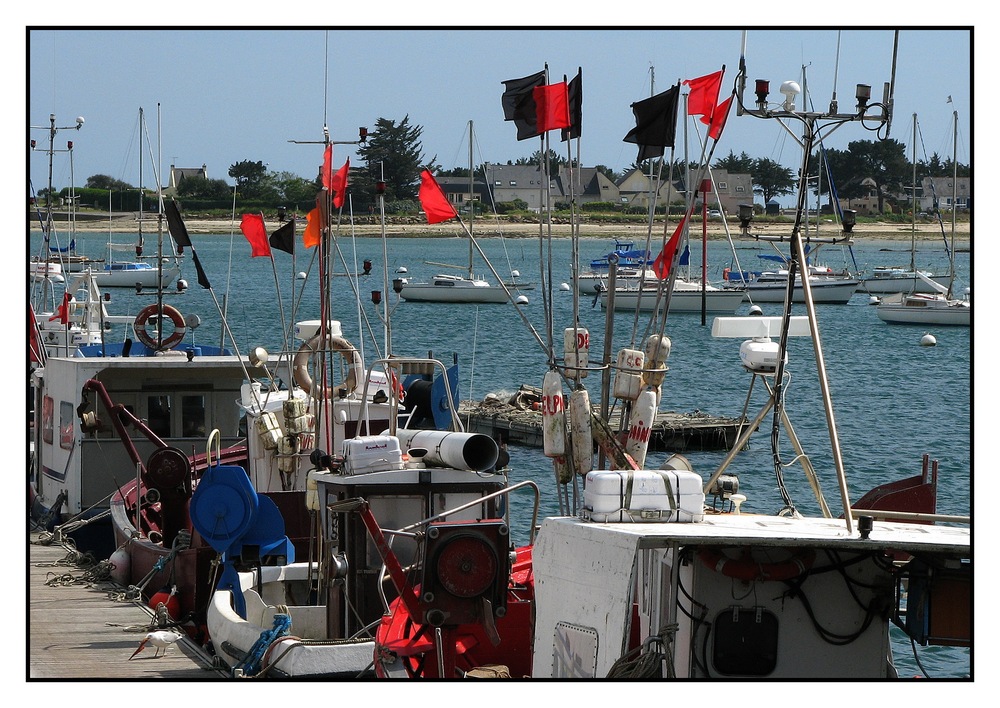 " La pêche artisanale des caseyeurs en baie de Concarneau "