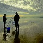 La pêche au bar