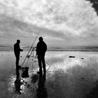 La pêche au bar