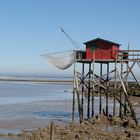 La pêche au carrelet.