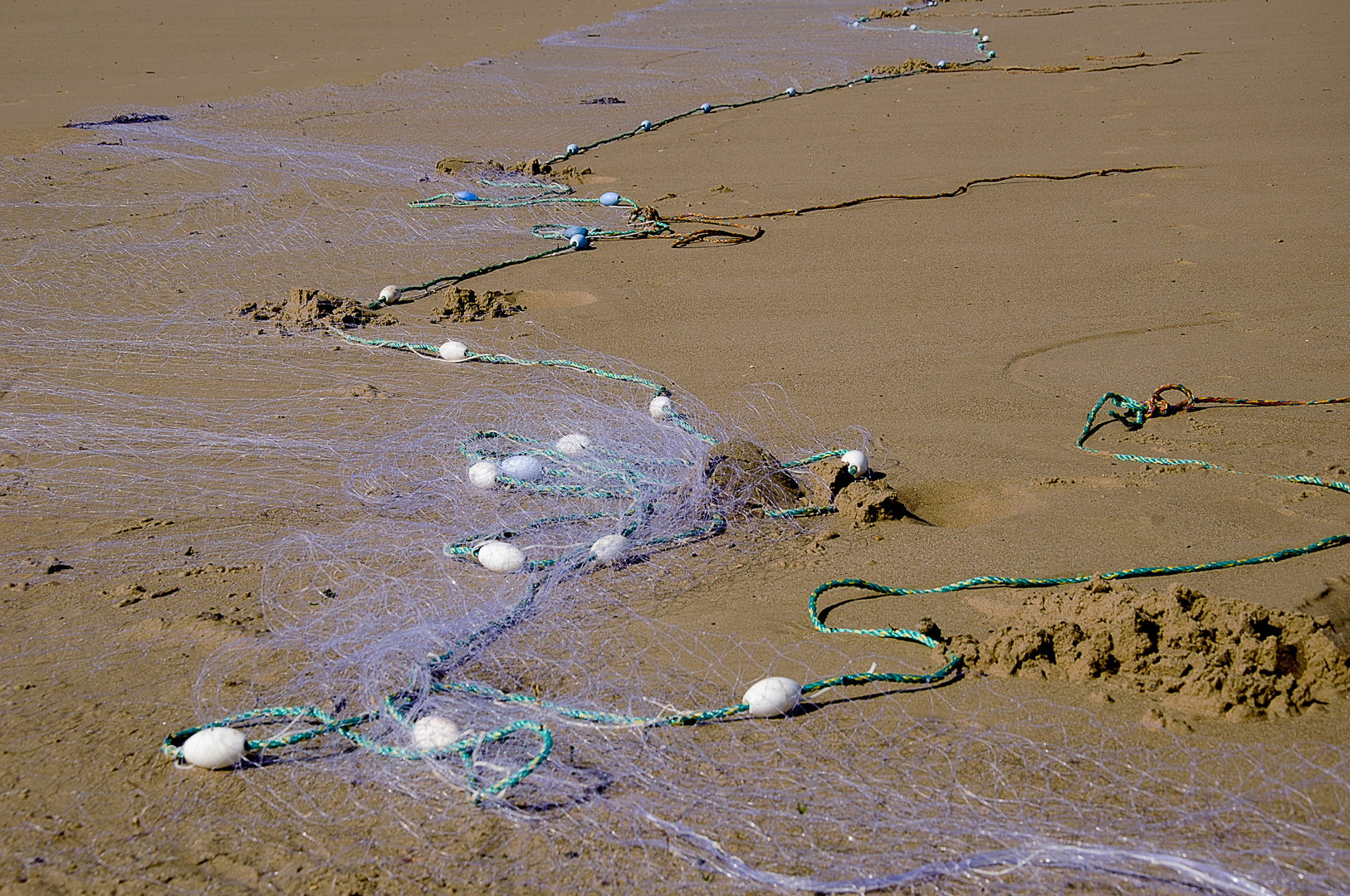 La pêche au trémail