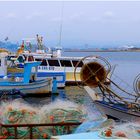 La pêche aux couleurs