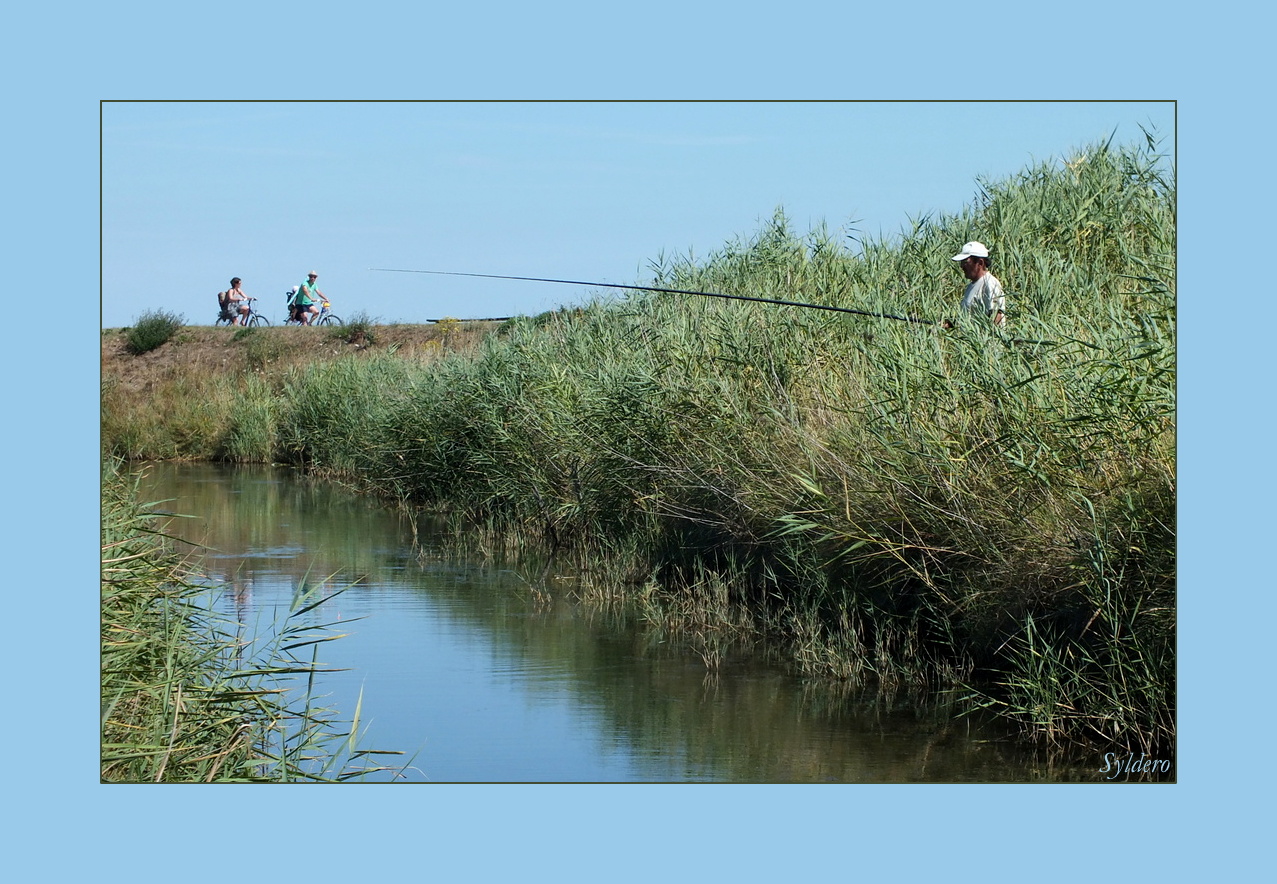 La pêche aux cyclistes