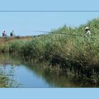 La pêche aux cyclistes