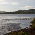 La pêche aux grisettes