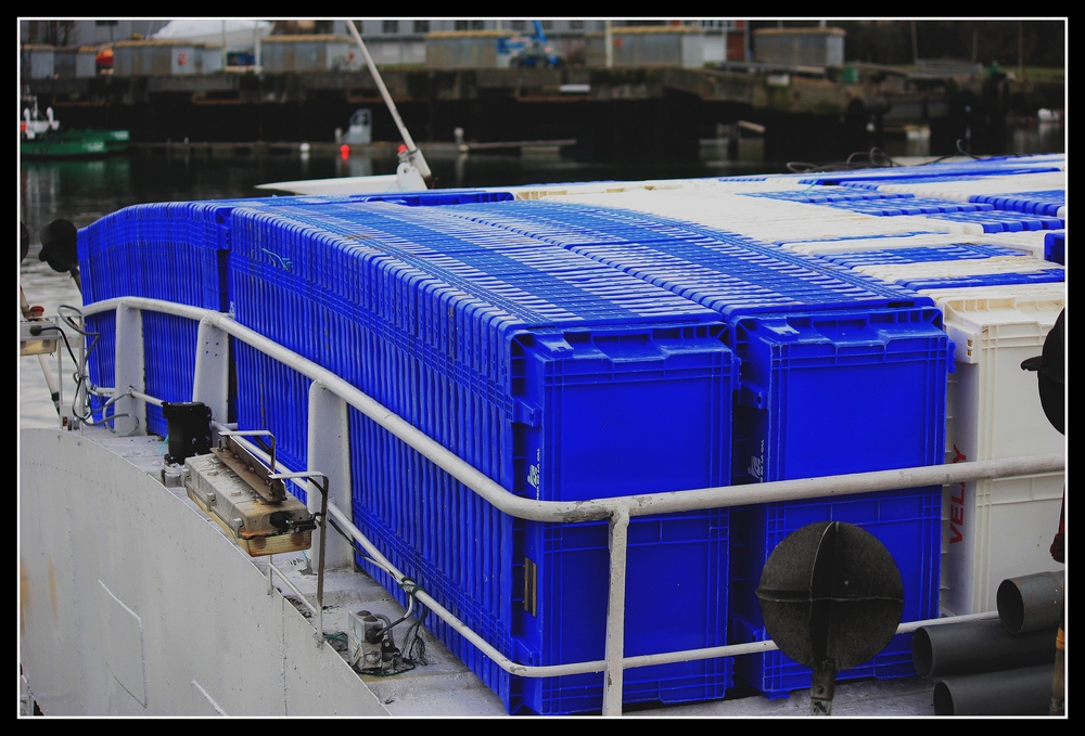 " La pêche en boite "