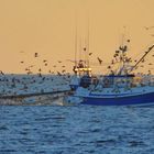 La pêche est bonne !