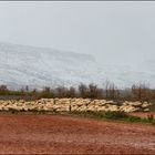 La peña nevada