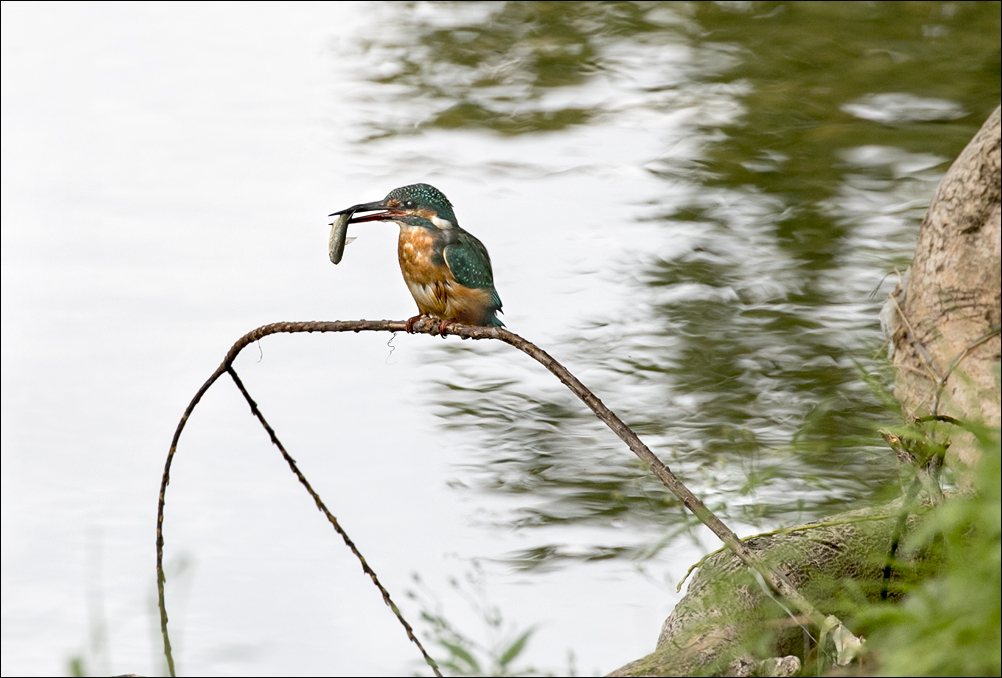 La pèche de Martin 