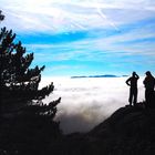 La Pedriza entre la niebla