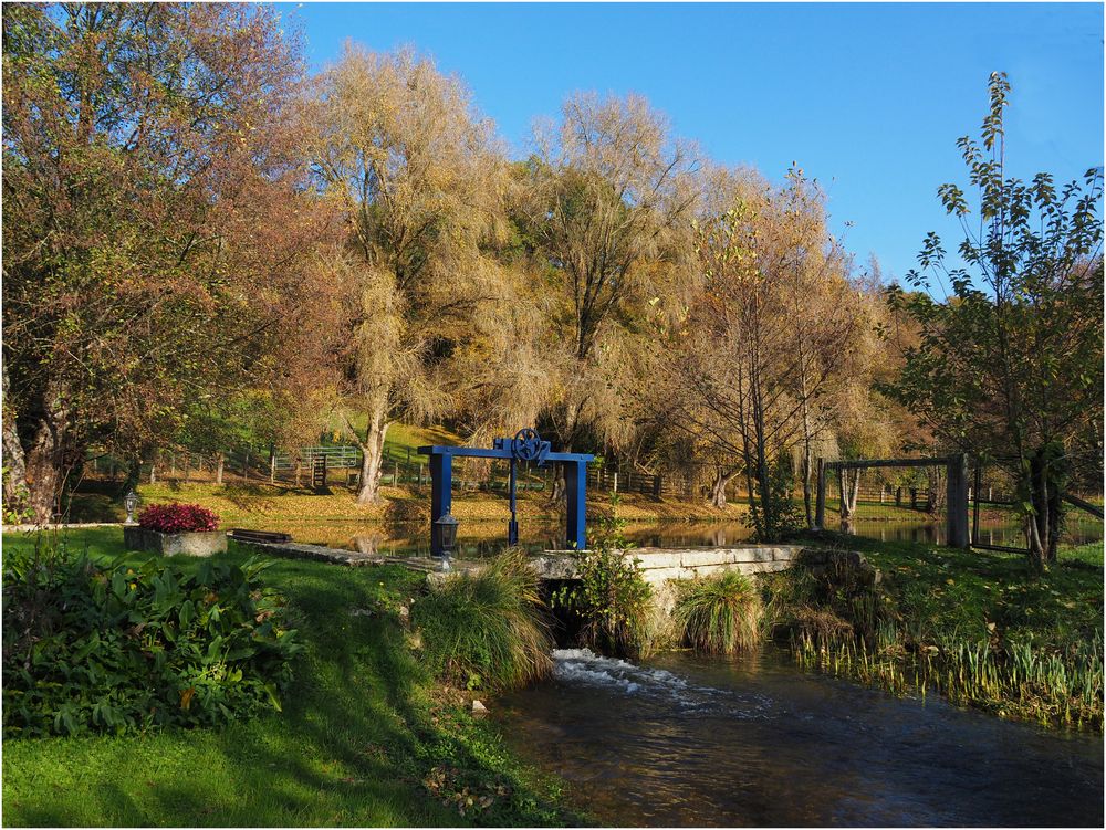 La Pelle à crémaillère de l’Etang de La Sonnette