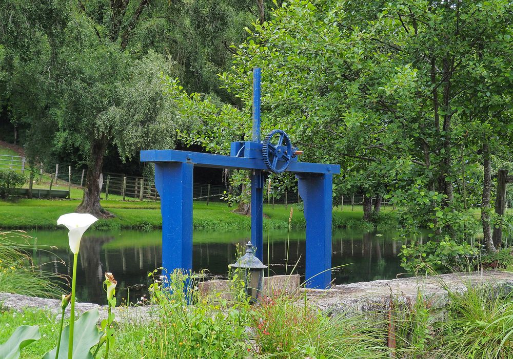 La pelle bleue de l’étang du Moulin de Boisseguin