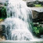 La pequeña cascada.