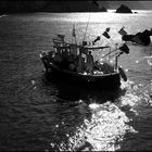 La pesca nelle Cinque Terre